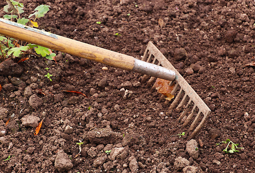 Rake in the dirt