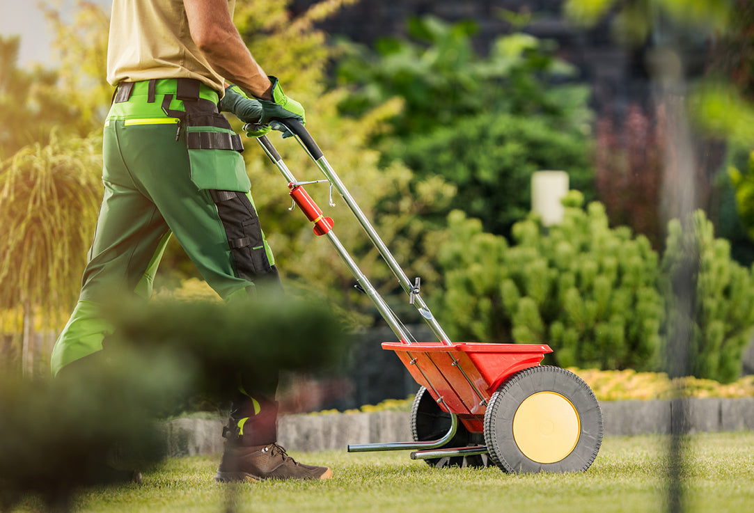 Person using gardening spreader to release fertilizer