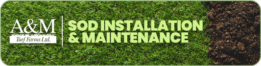 Sod Installation & Maintenance header graphic