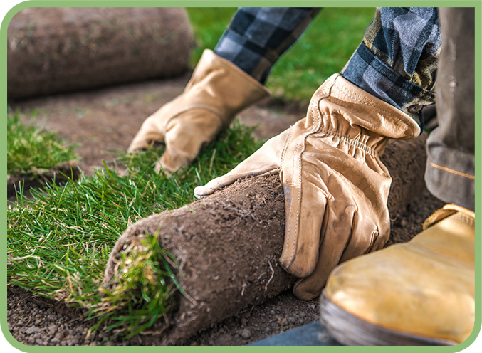 Person laying sod down