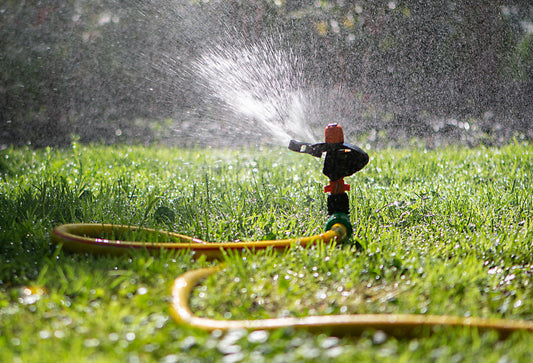 Expert Lawn Maintenance Tips for Your New Sod