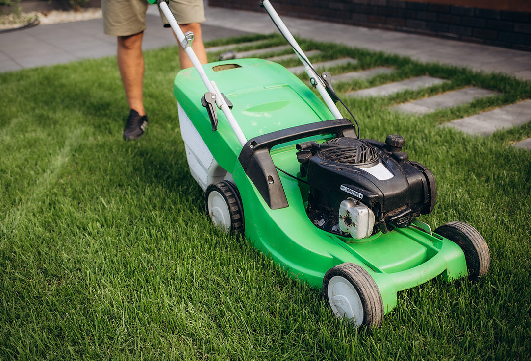 Lawn mower cutting the grass