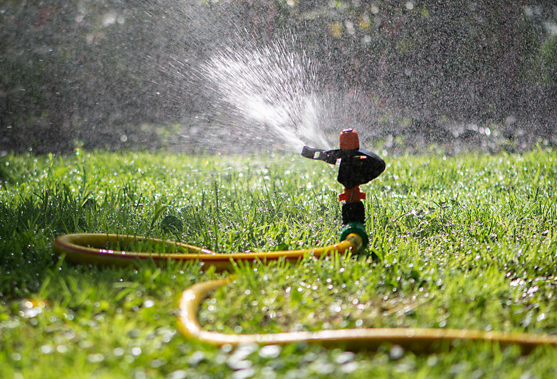 Sprinkler watering the grass