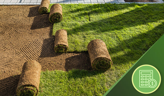 Sod in rows being unrolled