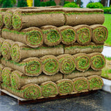 stacks of a&m sod